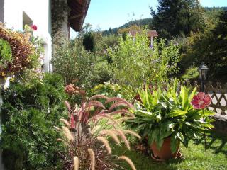 Gaestehaus Waldblick - - 8