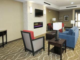 Comfort Suites Greenville South - Piedmont - 7