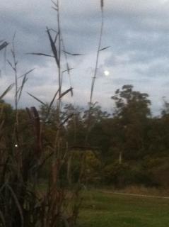 Casa Marieta Ocean Park - 1