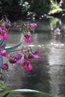 Business Class Hotel Häckermühle - 4