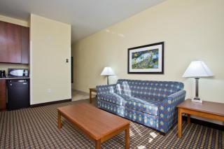 Holiday Inn Express and Suites Denver East Peoria Street by IHG - 4