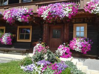 Bauernhof Unterbichl - Flachau - 6