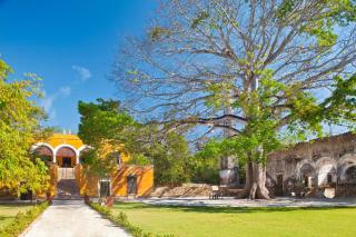 Hacienda Uayamon - Uayamón - 9