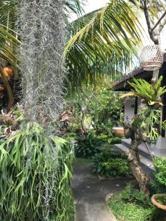 DIMUWA Ubud - Ubud - 2