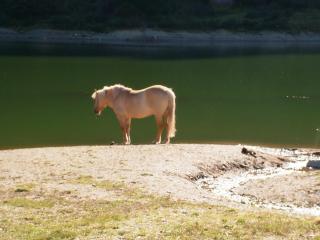 Hotel Ristorante Franca - 2
