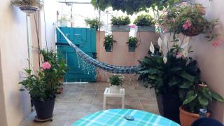 Les Hibiscus - 0