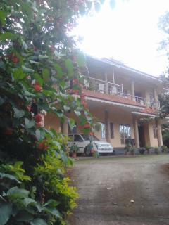 Bluemount - Kattappana - 1