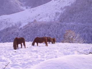 Apartamentos Peña Ubiña - 8