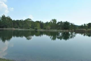Wilmington Camping Resort - Wilmington - 1