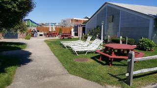 Blue Sea Motor Inn - North Truro - 3