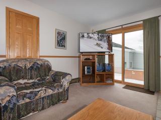 Snowdance Condo A101 - 3