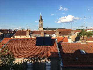 L'Atelier Victoria -Mon Desert & Parc St Marie -55m2 - Nancy - 0
