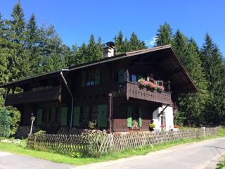 Apartment Chalet Kladska - Mariánské Lázně - 9