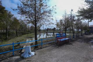 Zhang Yi Ya Zhu Homestay - Baihe - 8