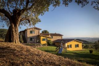 Il Poggio Delle Ginestre - Torgiano - 4