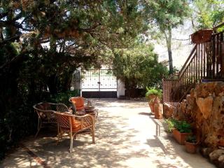 Villa Dracena - Castelluzzo - 3