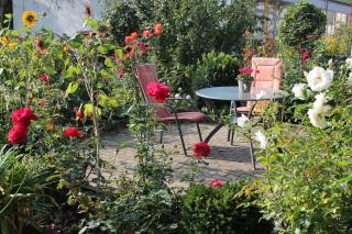 No. 73 - Idylle im Rebenmeer - 2
