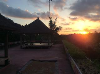 Permaculture House - 1