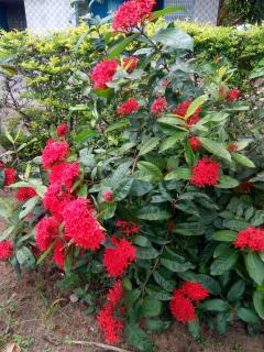 Labanya Guest house - 2