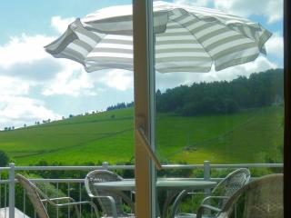 2 separate flats with balcony on the ski slope - Willingen - 9