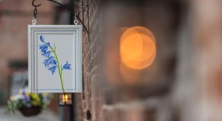 Blue Bell Cottage - Ollerton - 3