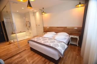 Hotel Europa - Baia Mare - 5