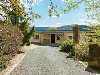 Stylish holiday home near the forest - Mittelndorf - 8