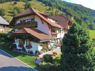 Apartment in Brandenberg with terrace - Todtnau - 0
