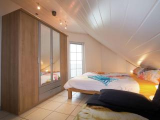 Holiday home in Hesse with large garden - Buchenberg - 6