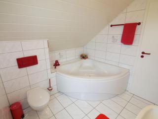 Holiday home in Hesse with large garden - Buchenberg - 5