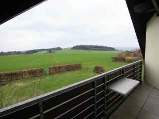 Holiday home in Hesse with large garden - Buchenberg - 4