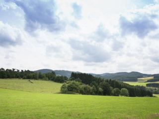 Holiday home in Hesse with large garden - Buchenberg - 2