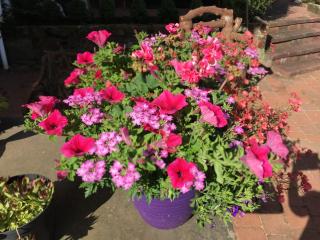 Loaninghead Holidays - 4