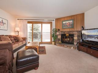Snowdance Manor 205 - 1