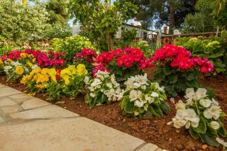 Apartments Hortensia - Pula - 6