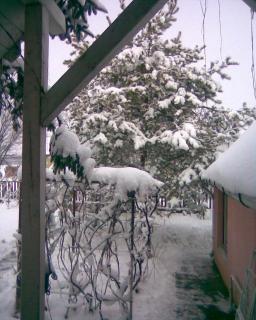 Árnyas Vendégház Hajdúszoboszló - 4