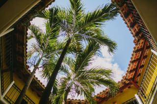 Occidental Cozumel - All Inclusive - 3