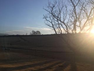 Blarney Stone Cottage - 4