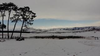 Blarney Stone Cottage - 8