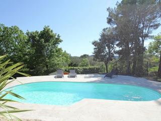Lush villa with private pool - Bagnols-en-Forêt - 6