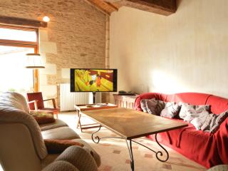 Beautiful holiday home with private pool - Boussageau - 1