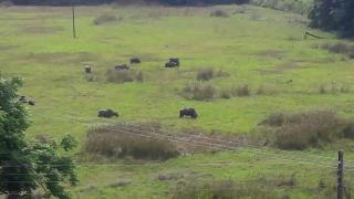 Mirissa Eco Hills - 2