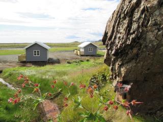 Lækjaborgir Guesthouse - Kálfafell - 8