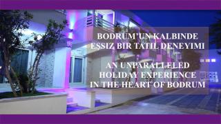 Delfi Hotel Spa & Wellness Center - Bodrum - 4