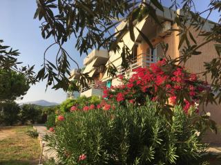 Galini Studios and Apartments - Lassi - 4