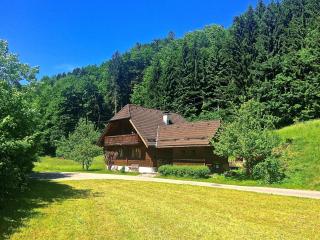Landhaus Haselmoar - Altmünster - 8