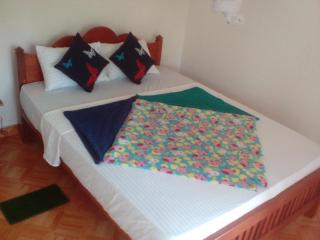 Saddle Cottage - Ella - 3