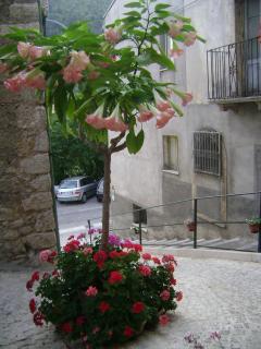 B&B Myosotis - Introdacqua - 6