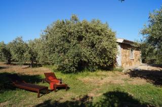 Sa Tanca de Mannoi - 0