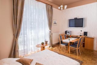 Apartment Vila Golf - Rogaška Slatina - 0